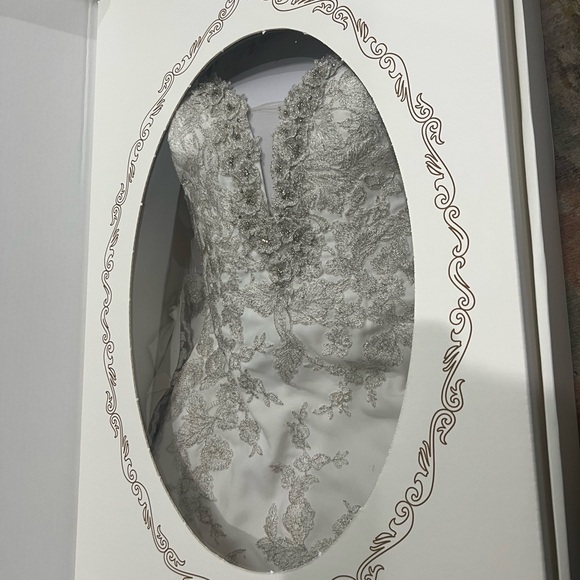 Pronovias White Lace Wedding Dress - Picture 5 of 5